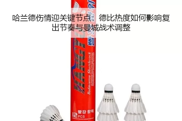 ha-lan-de-shang-qing-ying-guan-jian-jie-dian-de-bi-re-du-ru-he-ying-xiang-fu-chu-jie-zou-yu-man-cheng-zhan-shu-tiao-2-347.jpg